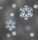 Light snow, Mostly cloudy Light snow, Mostly cloudy