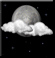 Thursday Night: Partly cloudy. Low around 46, with temperatures rising to around 48 overnight. Thursday Night: Partly Cloudy